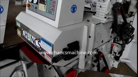 Double Side Planer CH204h Planning Machine