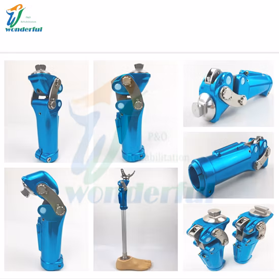 China Supplier Knee