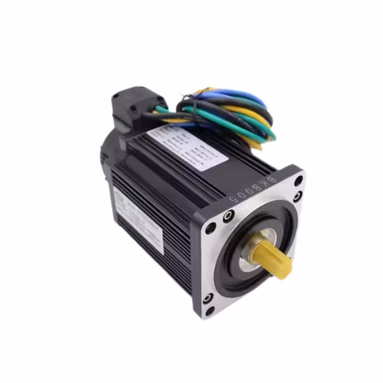 Automatic Servo Motor Customized 8